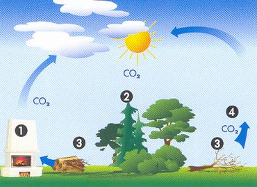 CO2 Kringloop